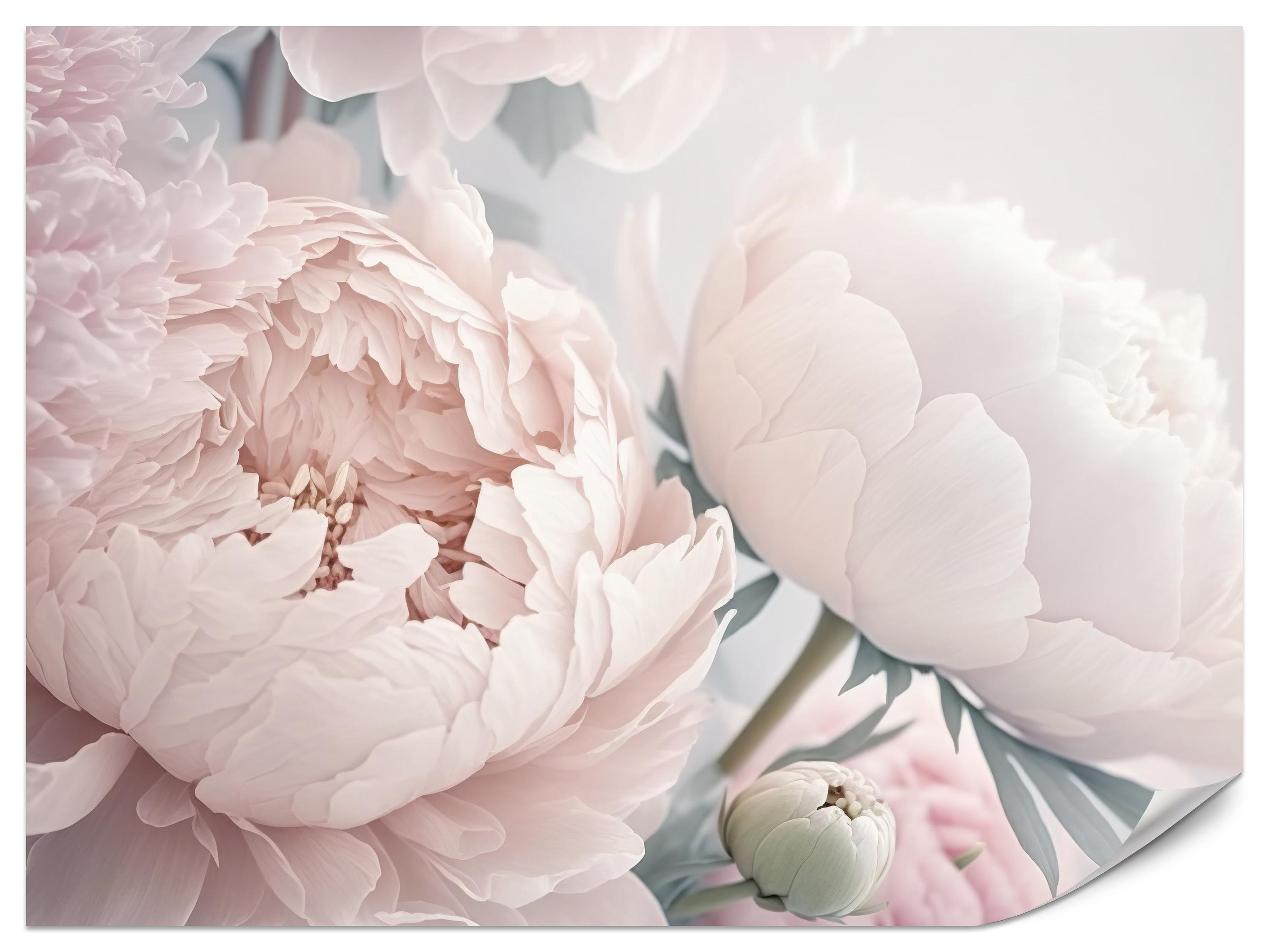 FOTOTAPETE für Schlafzimmer Große Blumen Rosa Pfingstrosen 450x315 - Rosa/Grün, Papier (450/315cm) - Muralo