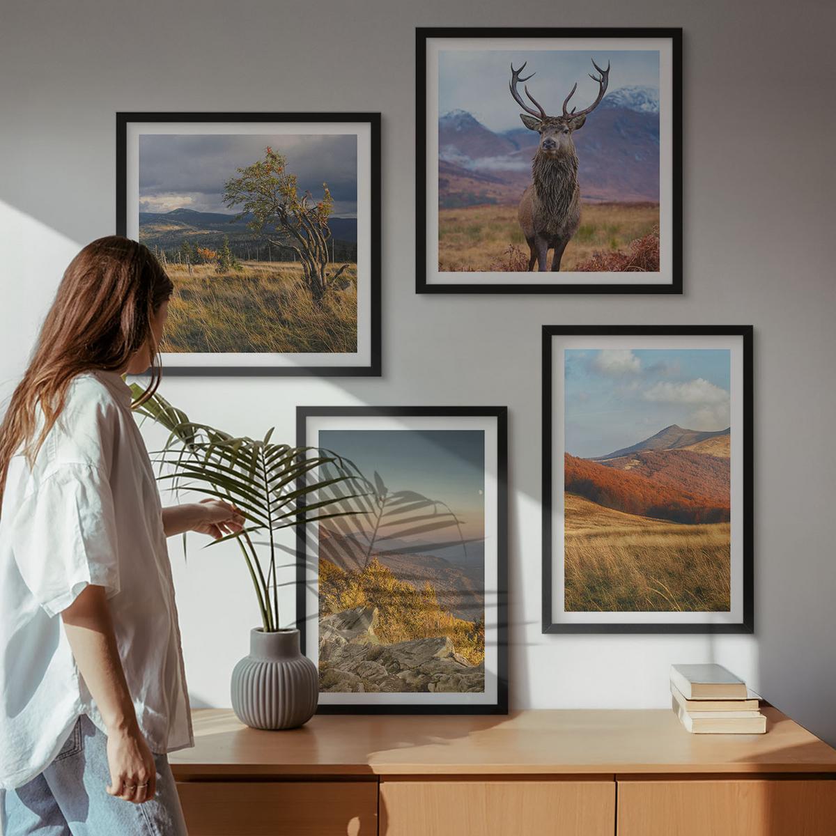 BILDER SET 4er Set - 50x50 cm & 40x60 cm Schwarzer Rahmen - Berglandschaften, Hirschgras - Schwarz, Kunststoff (50/50cm) - TULUP