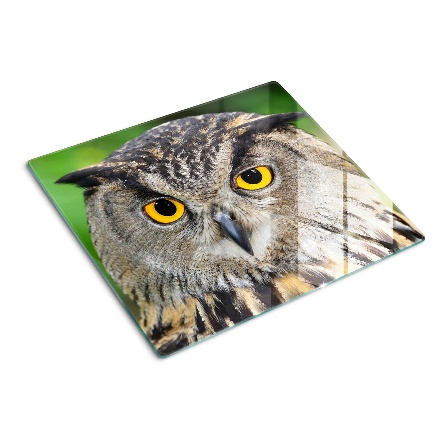 GLASPLATTE 60x52 cm Eule - Multicolor, Glas (60/0.4/52cm) - TULUP