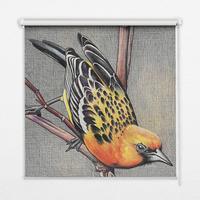 INNENROLLO - Fensterrollo - Rollo - 130x140 cm - Vogel auf einem Ast - Grau, Kunststoff (130/140/0.5cm) - TULUP