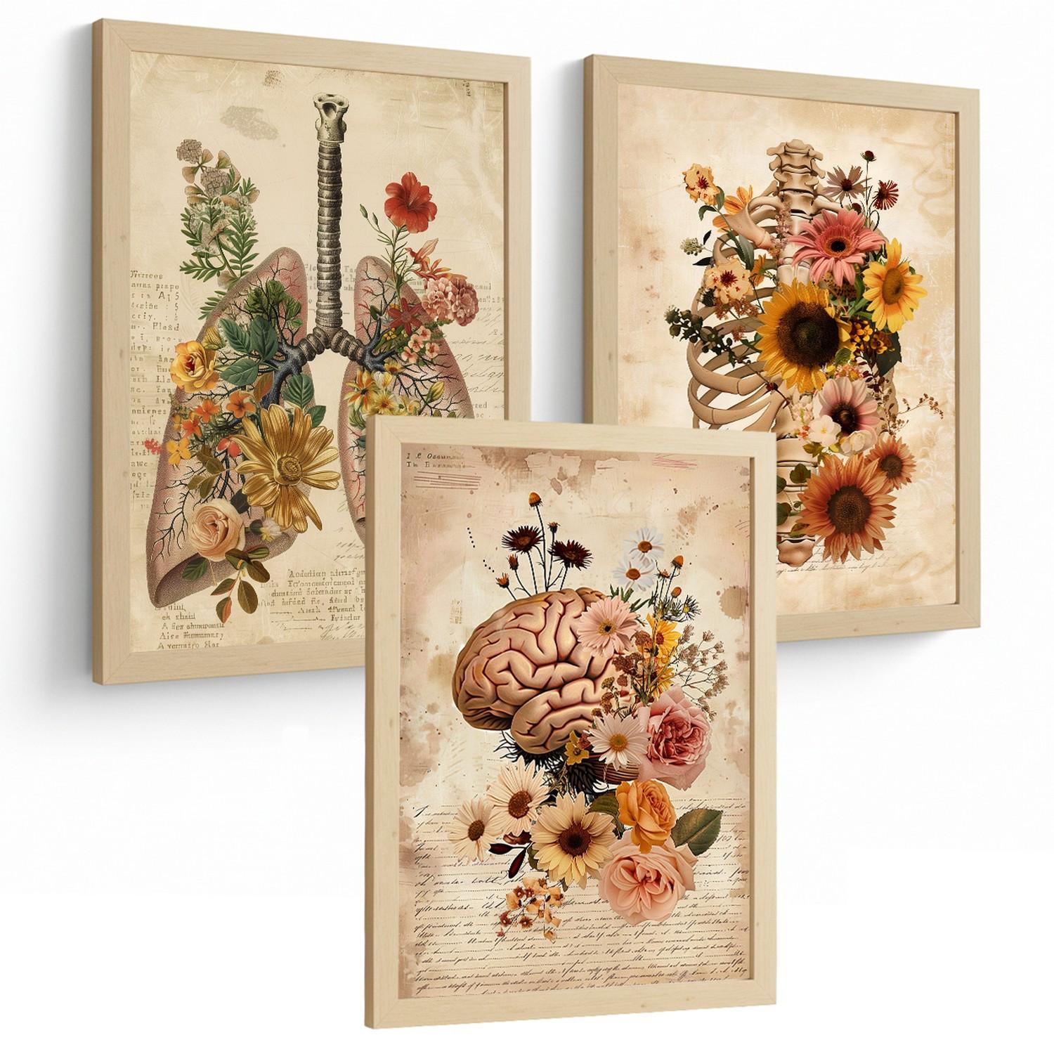 POSTER Set aus 3 Anatomie Mensch Florale Drucke und Wandbilder mit Lungen Brustkorb und Gehirn Botanischer Antiker Stil Größe Leichter Holzrahmen A4 - Beige, Papier (21/29.7/3cm) - Nacnic