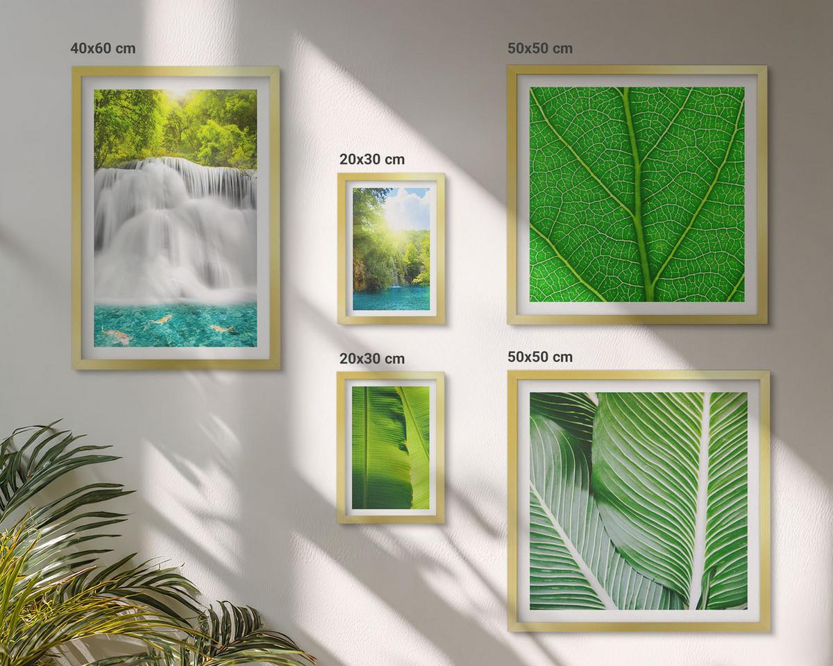 BILDER SET 5er Set - 50x50 cm & 20x30 cm & 40x60 cm Goldrahmen - Nahaufnahme von tropischen Blättern - Goldfarben, Kunststoff (40/60cm) - TULUP