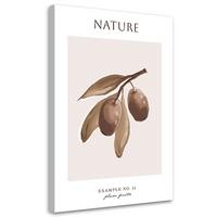 WANDBILD pflaumenfrucht natur - Beige, Textil (40/60cm) - Feeby