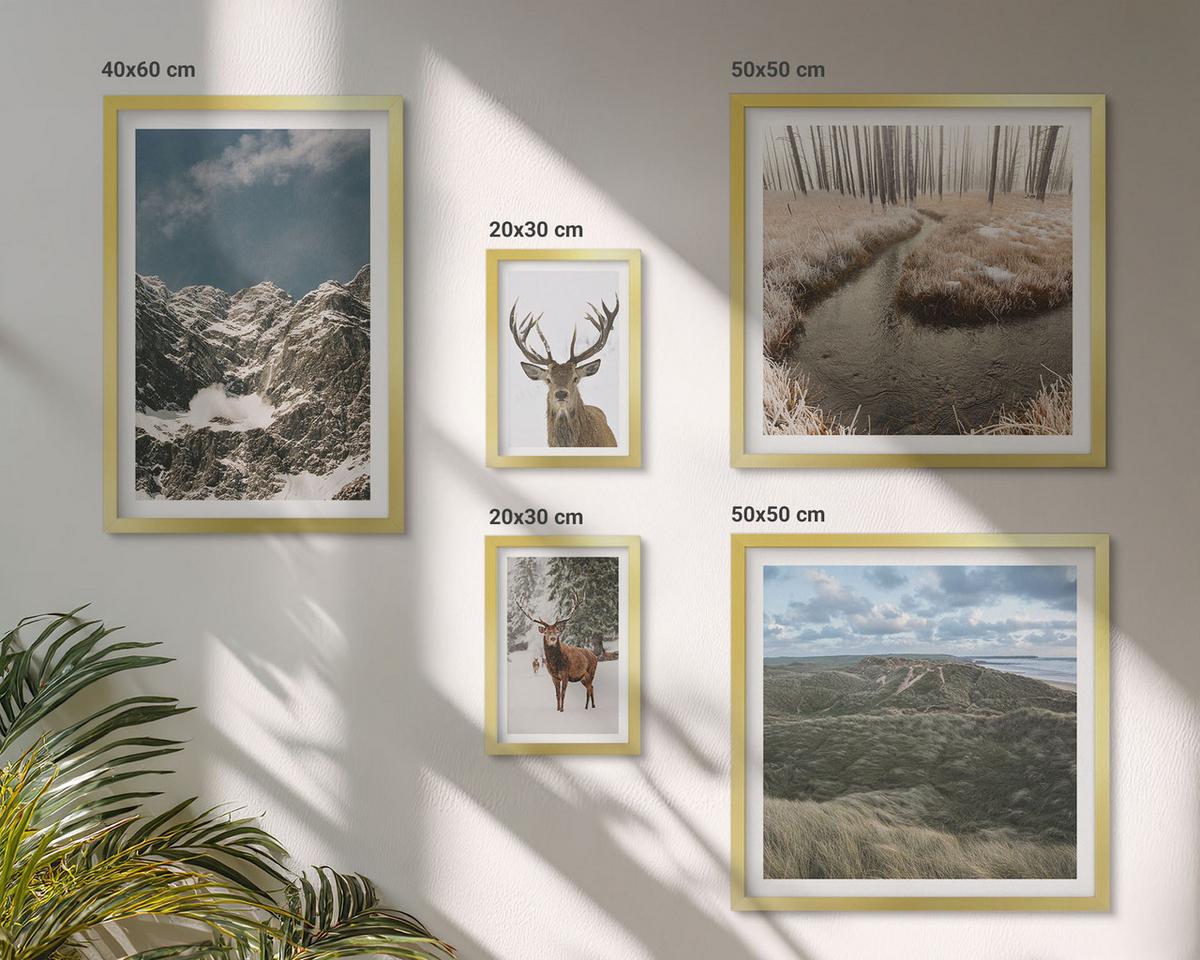 BILDER SET 5er Set - 50x50 cm & 20x30 cm & 40x60 cm Goldrahmen - Berge, Schnee, Hirsche, Waldlandschaft - Goldfarben, Kunststoff (40/60cm) - TULUP