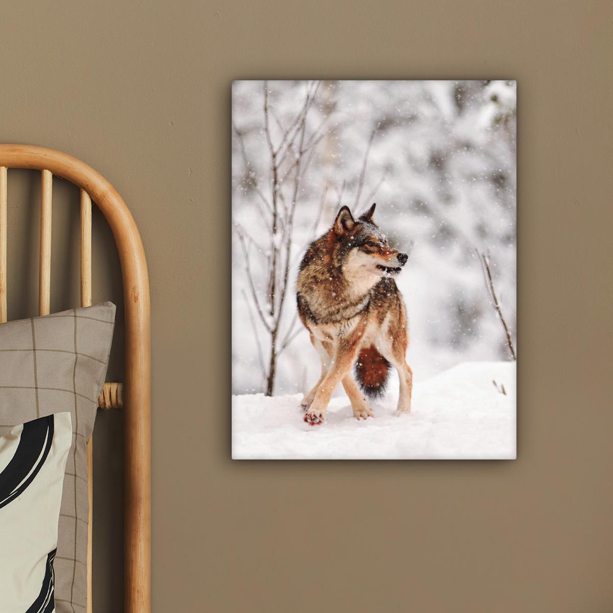LEINWANDBILD Wolf - Winter - Schnee - Natur - Tiere Room Decor 30x40 cm - Haselnussfarben, Textil (30/40cm) - MuchoWow