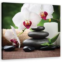 WANDBILD orchidee blumen zen - Weiß, Textil (50/50cm) - Feeby