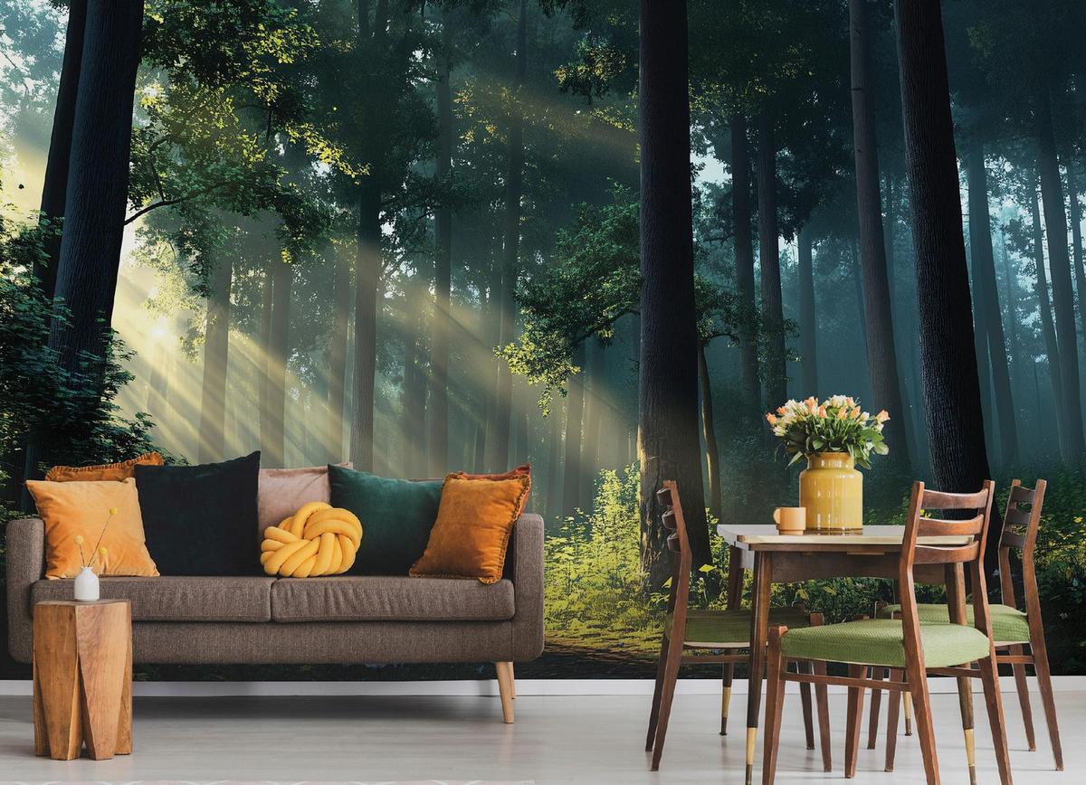 FOTOTAPETE Wald Sonne Natur Wohnzimmer Vlies Tapete 300x210 - Multicolor, Papier (300/210cm) - Wallarena