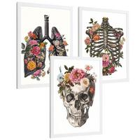 POSTER Set aus 3 Anatomie Mensch Drucke und mit Lungen Luftröhre Bronchien Rippen Wirbelsäule und Schädel Modernes Florales Größe Weißer Rahmen A3 - Weiß, Papier (29.7/42/3cm) - Nacnic