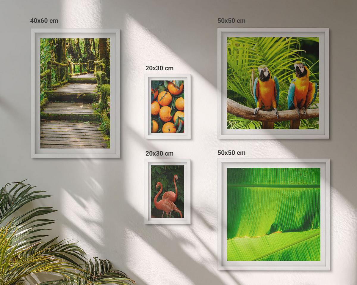 BILDER SET 5er Set - 50x50 cm & 20x30 cm & 40x60 cm Weißer Rahmen - Fruchtige Akzente der Tropen - Weiß, Kunststoff (40/60cm) - TULUP