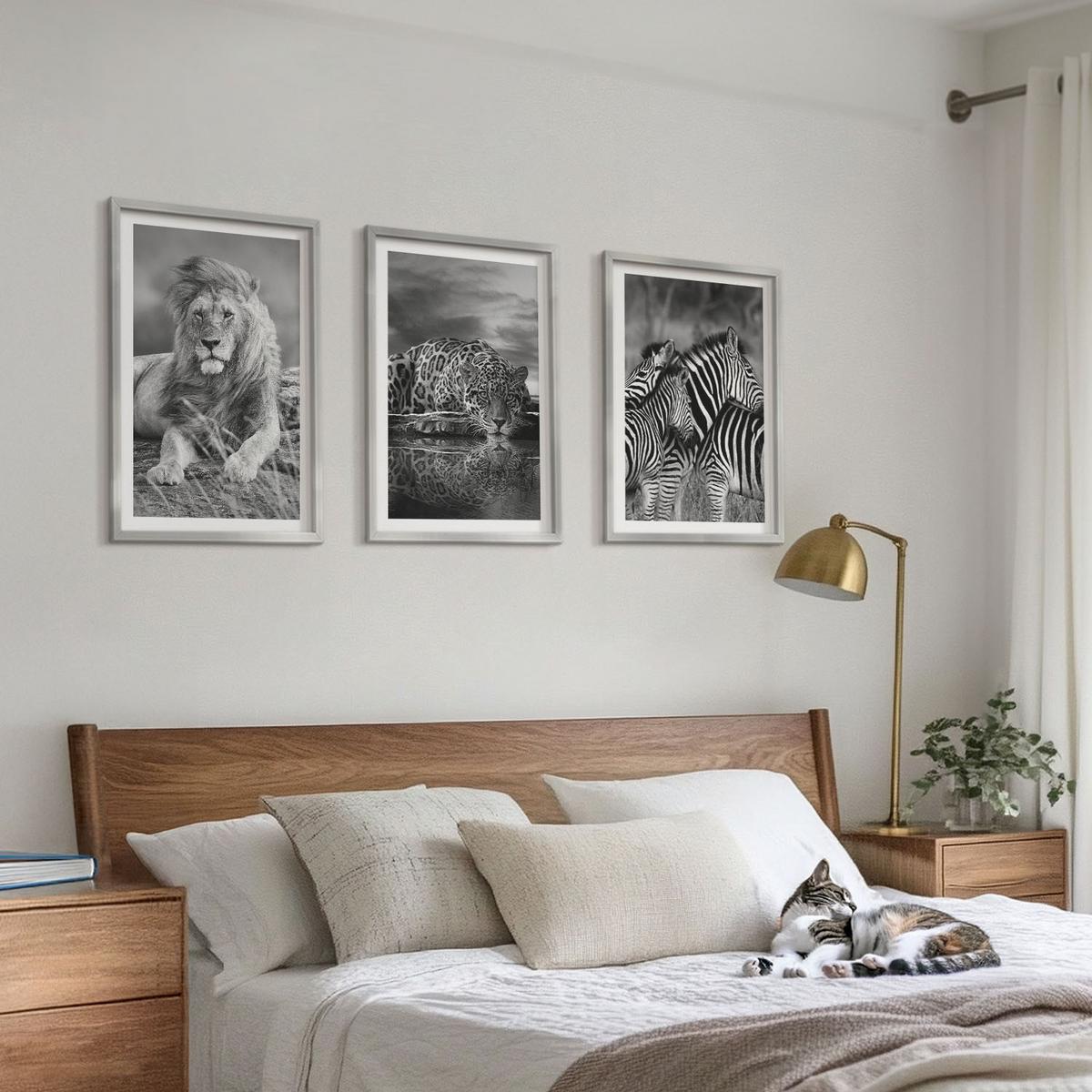 BILDER SET 3er Set - 40x60 cm Silberner Rahmen - Wildtiere der Savanne - Silberfarben, Kunststoff (40/60cm) - TULUP
