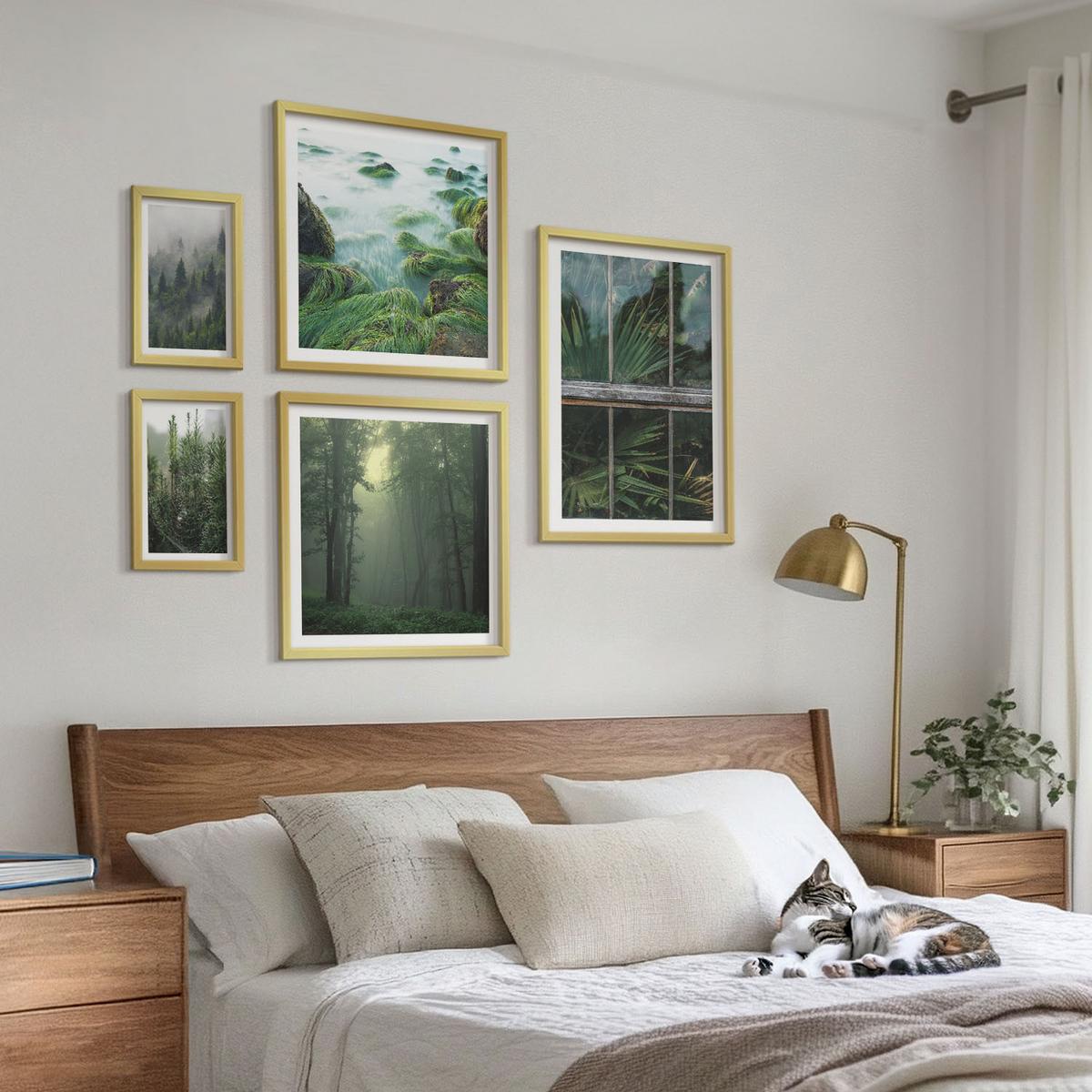 BILDER SET 5er Set - 50x50 cm & 20x30 cm & 40x60 cm Goldrahmen - Nahaufnahmen von Blättern sukkulenter Pflanzen - Goldfarben, Kunststoff (40/60cm) - TULUP