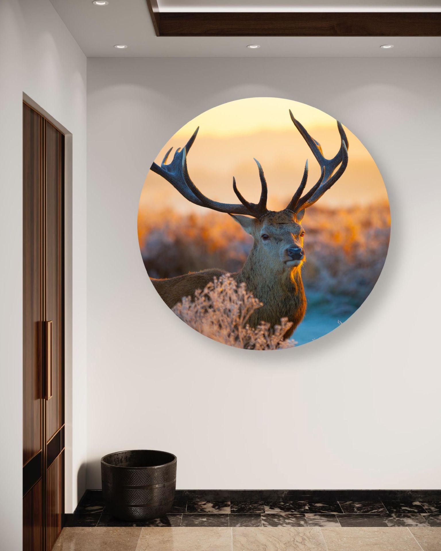RUNDES BILD Braun 80/80 cm - Gelb/Braun, Textil (80/80cm) - KUNSTLOFT
