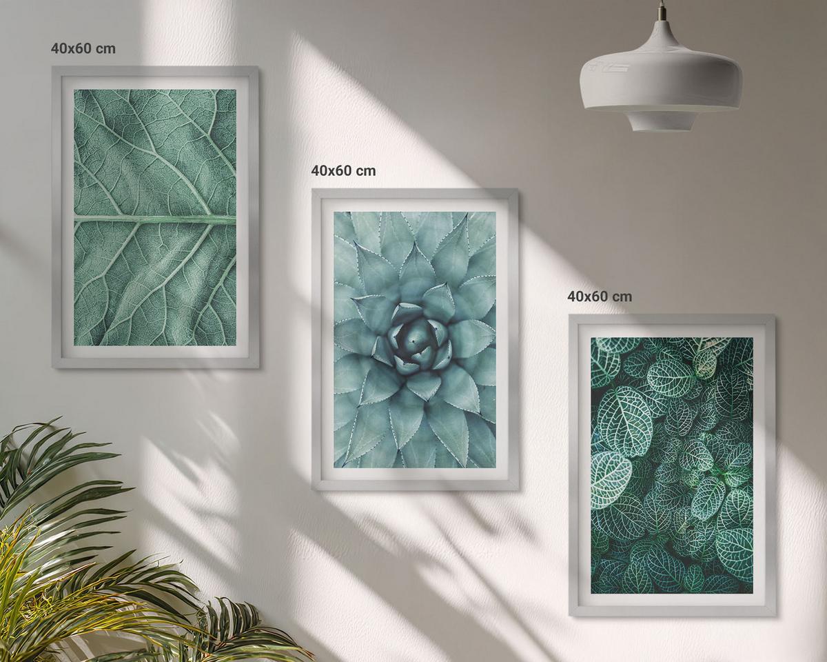 BILDER SET 3er Set - 40x60 cm Silberner Rahmen - Nahaufnahme von Pflanzenblättern - Silberfarben, Kunststoff (40/60cm) - TULUP