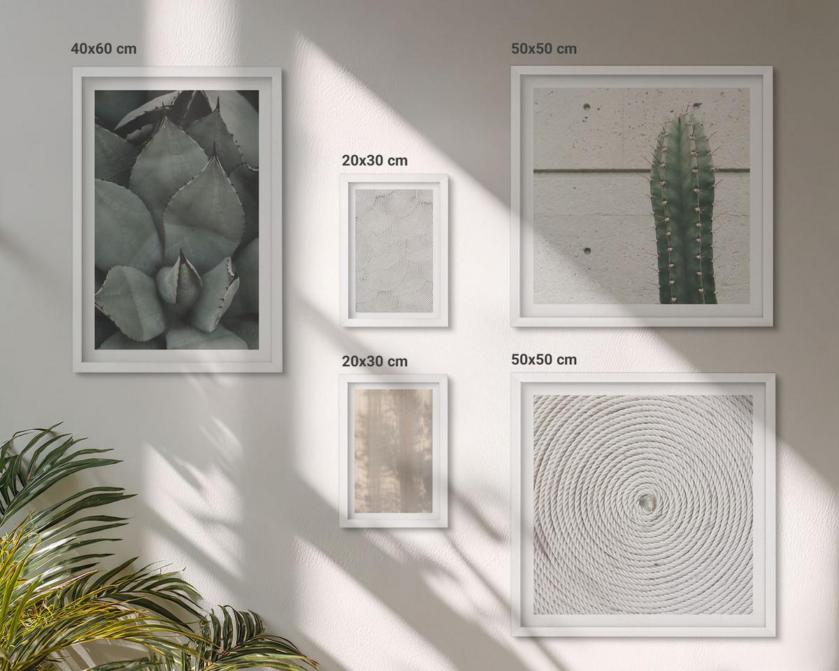 BILDER SET 5er Set - 50x50 cm & 20x30 cm & 40x60 cm Weißer Rahmen - Sommerliche Texturen aus den Tropen - Weiß, Kunststoff (40/60cm) - TULUP