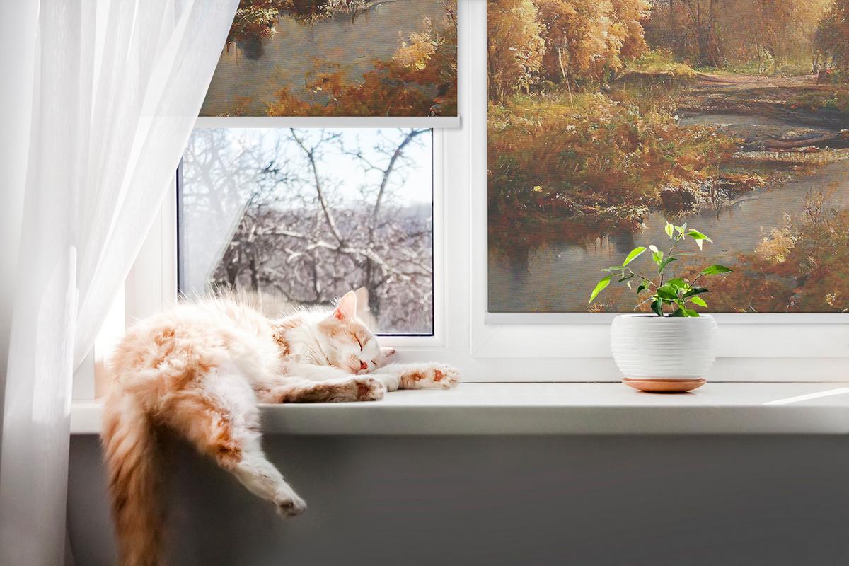 INNENROLLO - Fensterrollo - Rollo - 80x140 cm - Gemeinsam - Orange, Kunststoff (80/140/0.5cm) - TULUP
