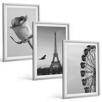 BILDER SET 3er Set - 40x60 cm Silberner Rahmen - Rose Eiffelturm Riesenrad - Silberfarben, Kunststoff (40/60cm) - TULUP