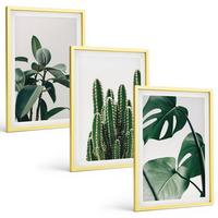 BILDER SET 3er Set - 40x60 cm Goldrahmen - Tropische ästhetische Pflanzen - Goldfarben, Kunststoff (40/60cm) - TULUP