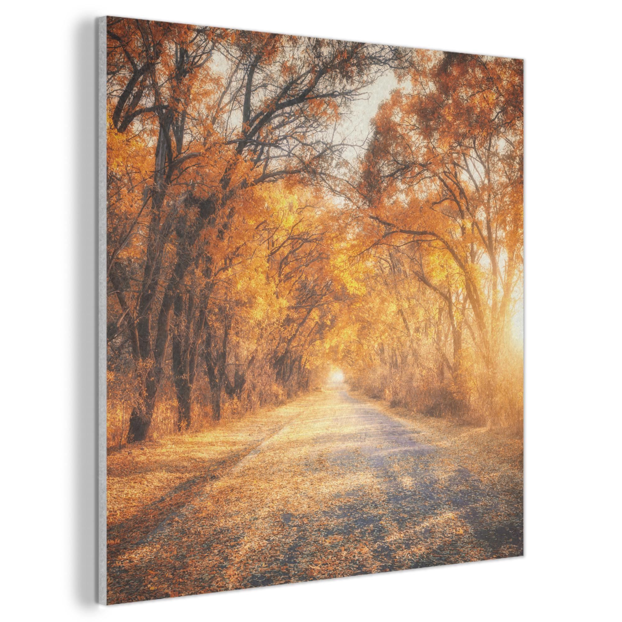 AKUSTIKBILD Wald - Herbst - Bäume - Waldweg - Natur Akustikpaneele 80x80 cm - Bernsteinfarben, Kunststoff (80/80/0.9cm) - MuchoWow