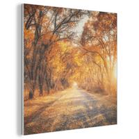 AKUSTIKBILD Wald - Herbst - Bäume - Waldweg - Natur Akustikpaneele 80x80 cm - Bernsteinfarben, Kunststoff (80/80/0.9cm) - MuchoWow