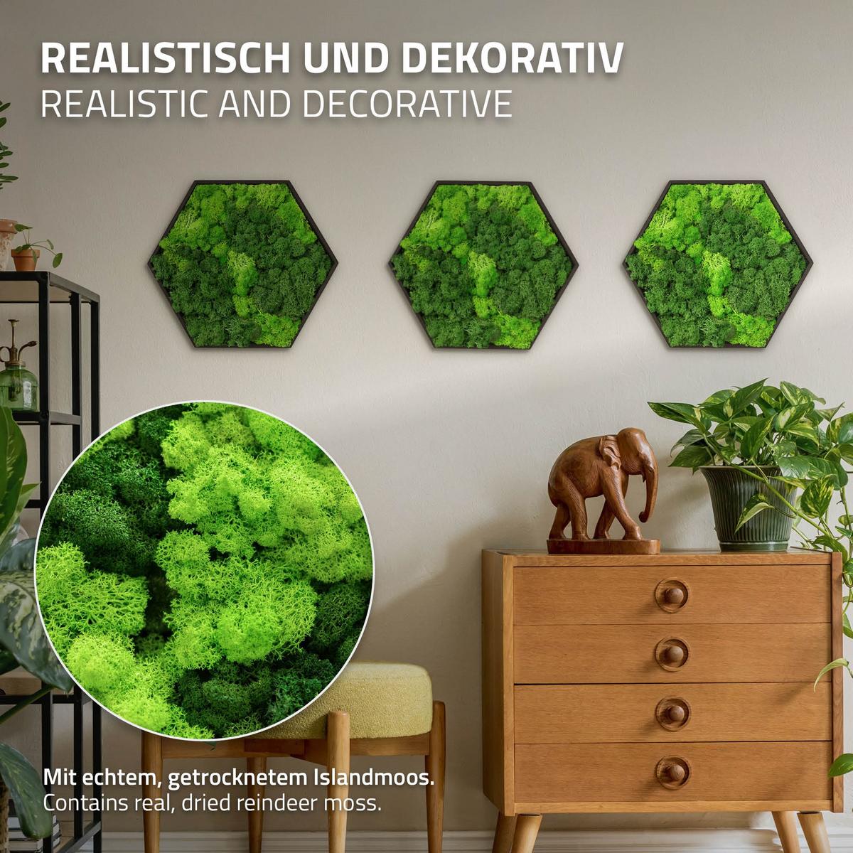MOOSBILD Hexagon 38x34 cm Mooswand Indoor mit echtem Islandmoos und Holzrahmen Grün Pflegefrei - Hellgrün, Naturmaterialien (38/34/3.4cm) - ECD-Germany