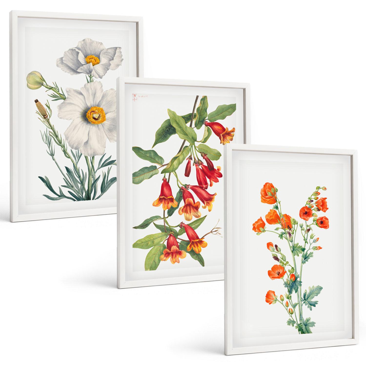 BILDER SET 3er Set - 40x60 cm Weißer Rahmen - Retro-Blumenarrangements - Weiß, Kunststoff (40/60cm) - TULUP