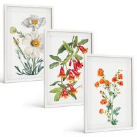 BILDER SET 3er Set - 40x60 cm Weißer Rahmen - Retro-Blumenarrangements - Weiß, Kunststoff (40/60cm) - TULUP