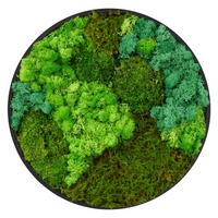 MOOSBILD Rund Ø 40 cm Mooswand Indoor mit echtem Kugelmoos-Islandmoos-Flachmoos-Mix und Holzrahmen Grün - Waldgrün, Naturmaterialien (40/40/3cm) - ECD-Germany