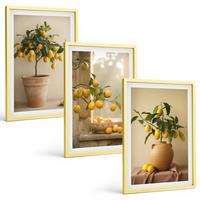BILDER SET 3er Set - 40x60 cm Goldrahmen - Zitronenbäume im Topf - Goldfarben, Kunststoff (40/60cm) - TULUP