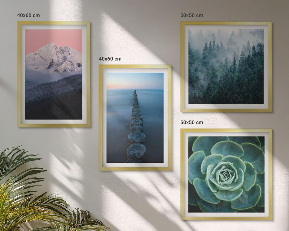 BILDER SET 4er Set - 50x50 cm & 40x60 cm Goldrahmen - Berge, rosa Himmel, Wasser, Sukkulente - Goldfarben, Kunststoff (50/50cm) - TULUP