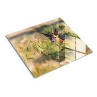 GLASPLATTE 60x52 cm Hirschfeld - Braun, Glas (60/0.4/52cm) - TULUP