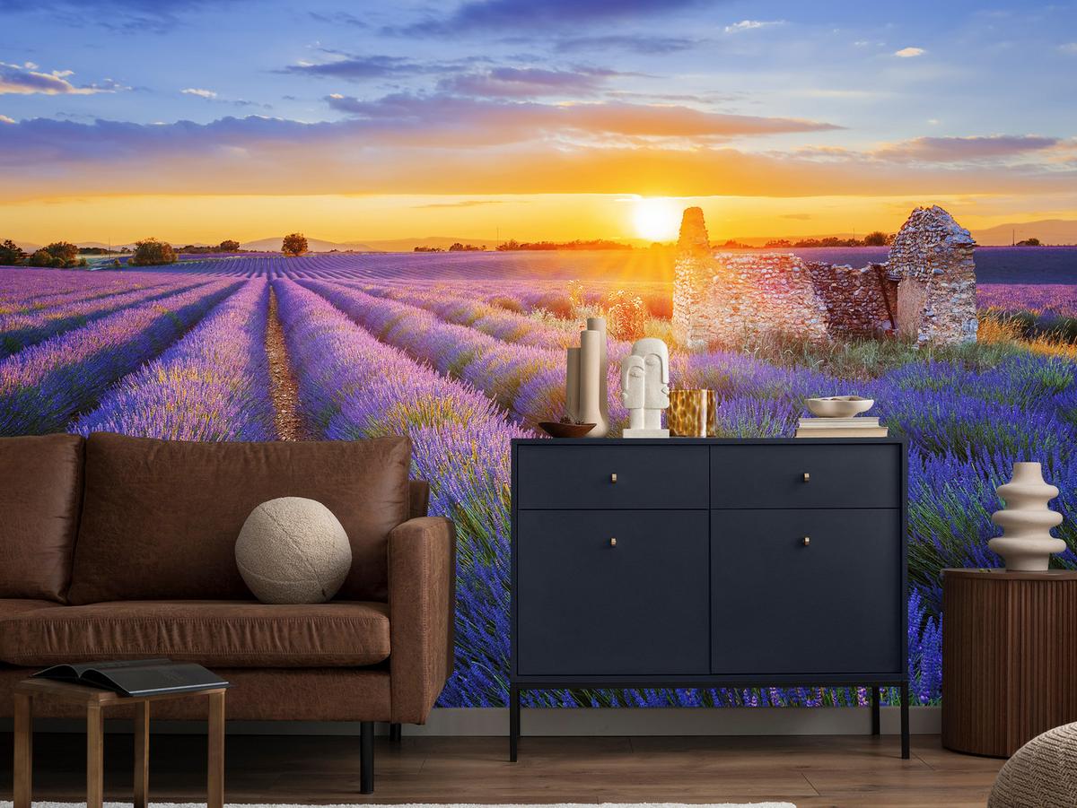 FOTOTAPETE für Wohnzimmer Lavendelfeld Sonnenuntergang Lila 150x105 - Violett/Rosa, Papier (150/105cm) - Muralo