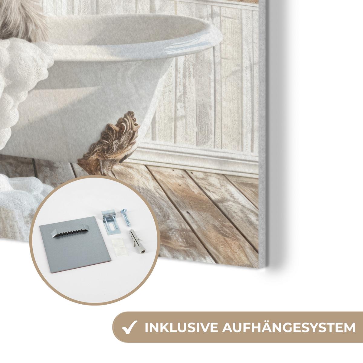 AKUSTIKBILD Esel - Tiere - Badewanne - Schaumstoff Akustikpaneele 90x90 cm - Weiß, Kunststoff (90/90/0.9cm) - MuchoWow