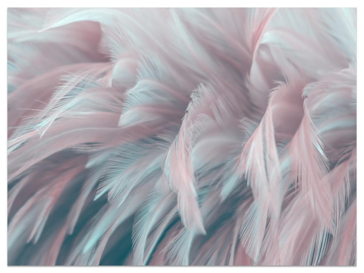 FOTOTAPETE für Schlafzimmer Pastell Federn Zart Rosa Blau 150x105 - Blau/Violett, Papier (150/105cm) - Muralo