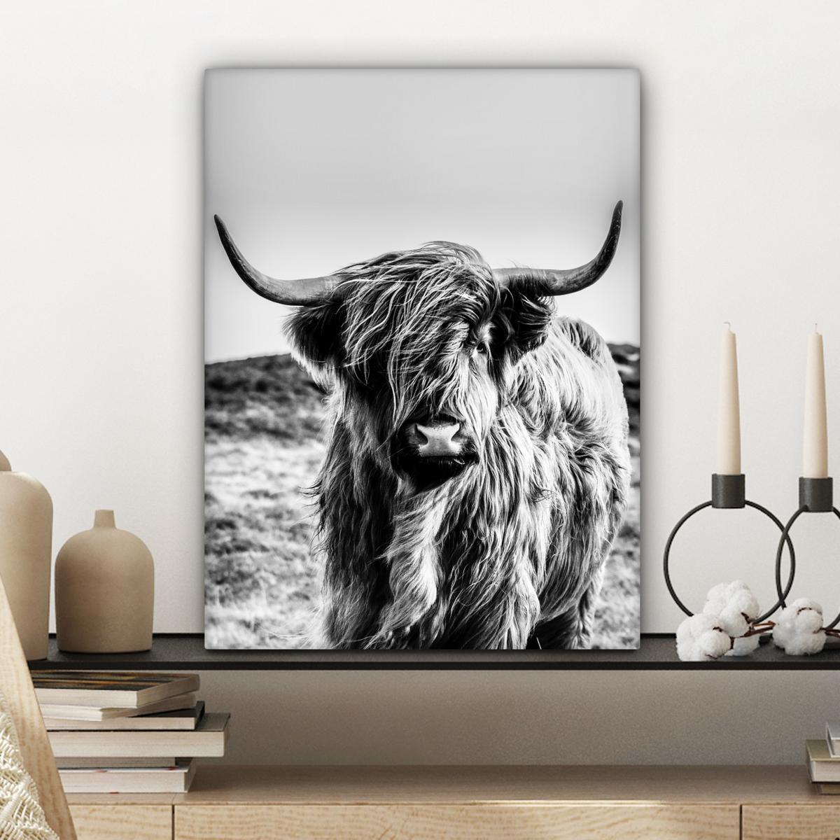 LEINWANDBILD Kuh - Schottischer Hochländer - Schwarz - Weiß - Tier - Natur - Wildtiere Room Decor 30x40 cm - Schwarz, Textil (30/40cm) - MuchoWow