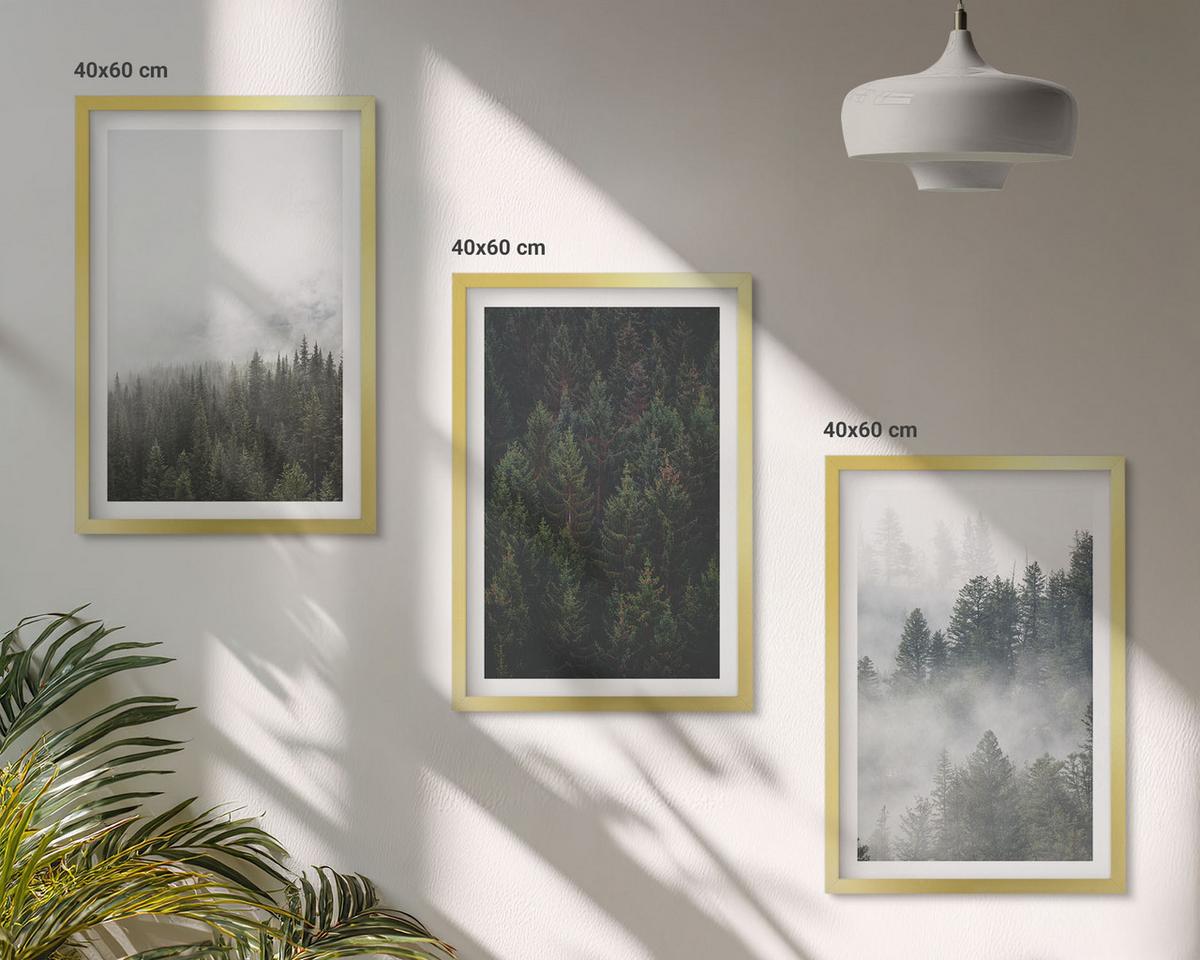 BILDER SET 3er Set - 40x60 cm Goldrahmen - Grüne Wälder Nebel Natur - Goldfarben, Kunststoff (40/60cm) - TULUP