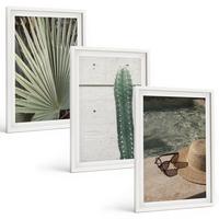 BILDER SET 3er Set - 40x60 cm Weißer Rahmen - Zubehör für tropische Pflanzen - Weiß, Kunststoff (40/60cm) - TULUP