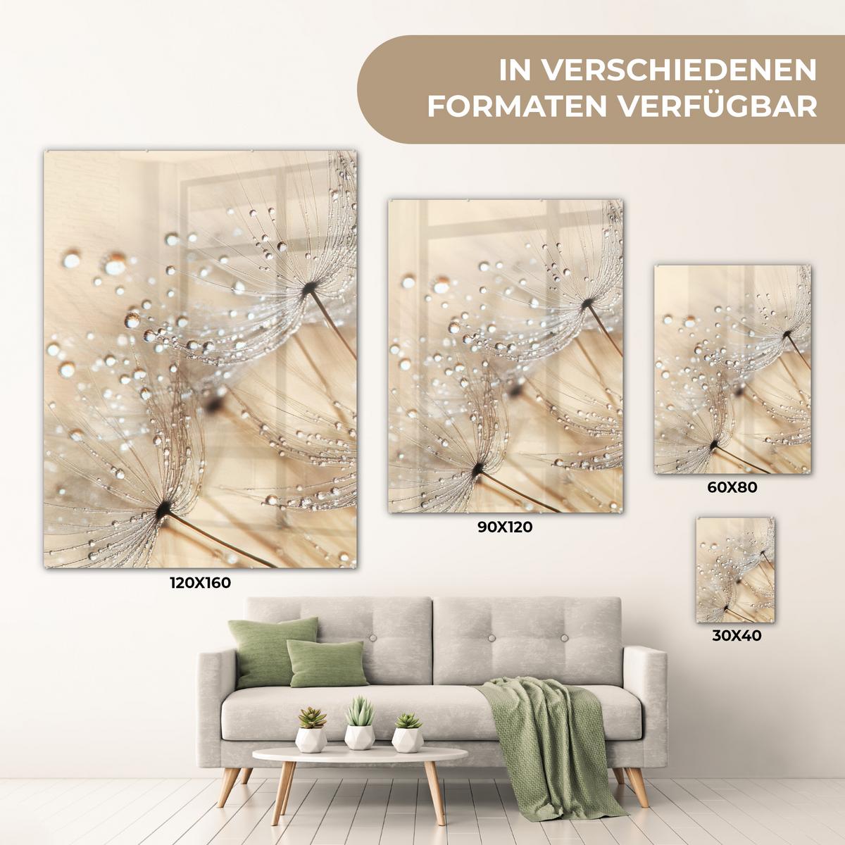 ACRYLGLASBILD Löwenzahn - Abstrakt - Natur - Beige 60x80 cm - Braun, Glas (60/80cm) - MuchoWow