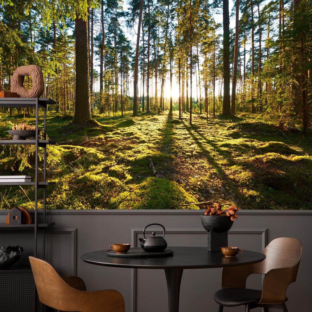 FOTOTAPETE für Küche Sonnenaufgang WALD Moss Bäume Sonnenstrahl 150x105 - Gelb/Braun, Papier (150/105cm) - Muralo
