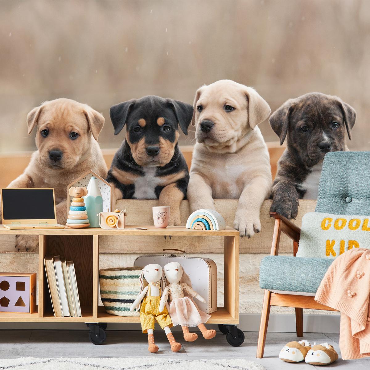 FOTOTAPETE für Kinderzimmer Süße Hunde Tiere 350x256 - Beige/Schwarz, Papier (350/256cm) - Muralo