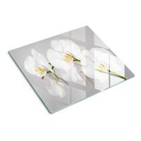 GLASPLATTE 60x52 cm Orchidee - Weiß, Glas (60/0.4/52cm) - TULUP