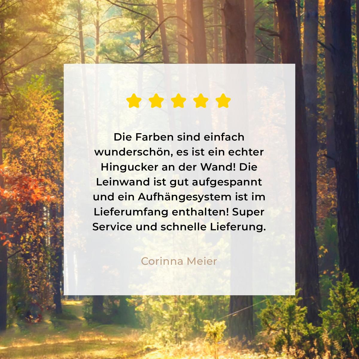LEINWANDBILD Wald - Herbst - Bäume Deko Schlafzimmer 30x20 cm - Dunkelgrün, Textil (30/20cm) - MuchoWow