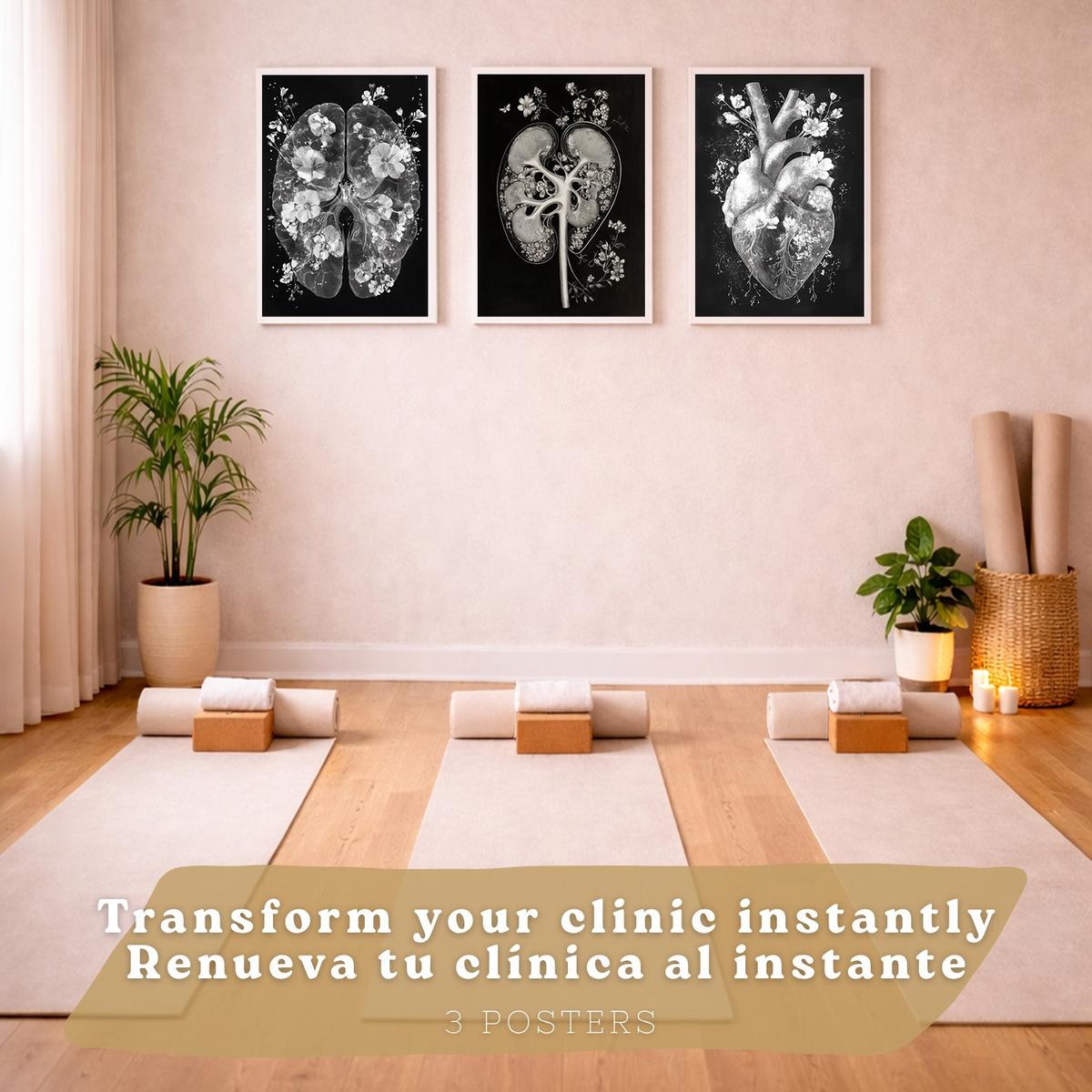 POSTER Set aus 3 Anatomie Drucke und Wandbilder mit Inneren Organen Gehirn Herz Nieren Minimalistisches Schwarz Weiß Design Größe Weißer Rahmen A3 - Weiß, Papier (29.7/42/3cm) - Nacnic
