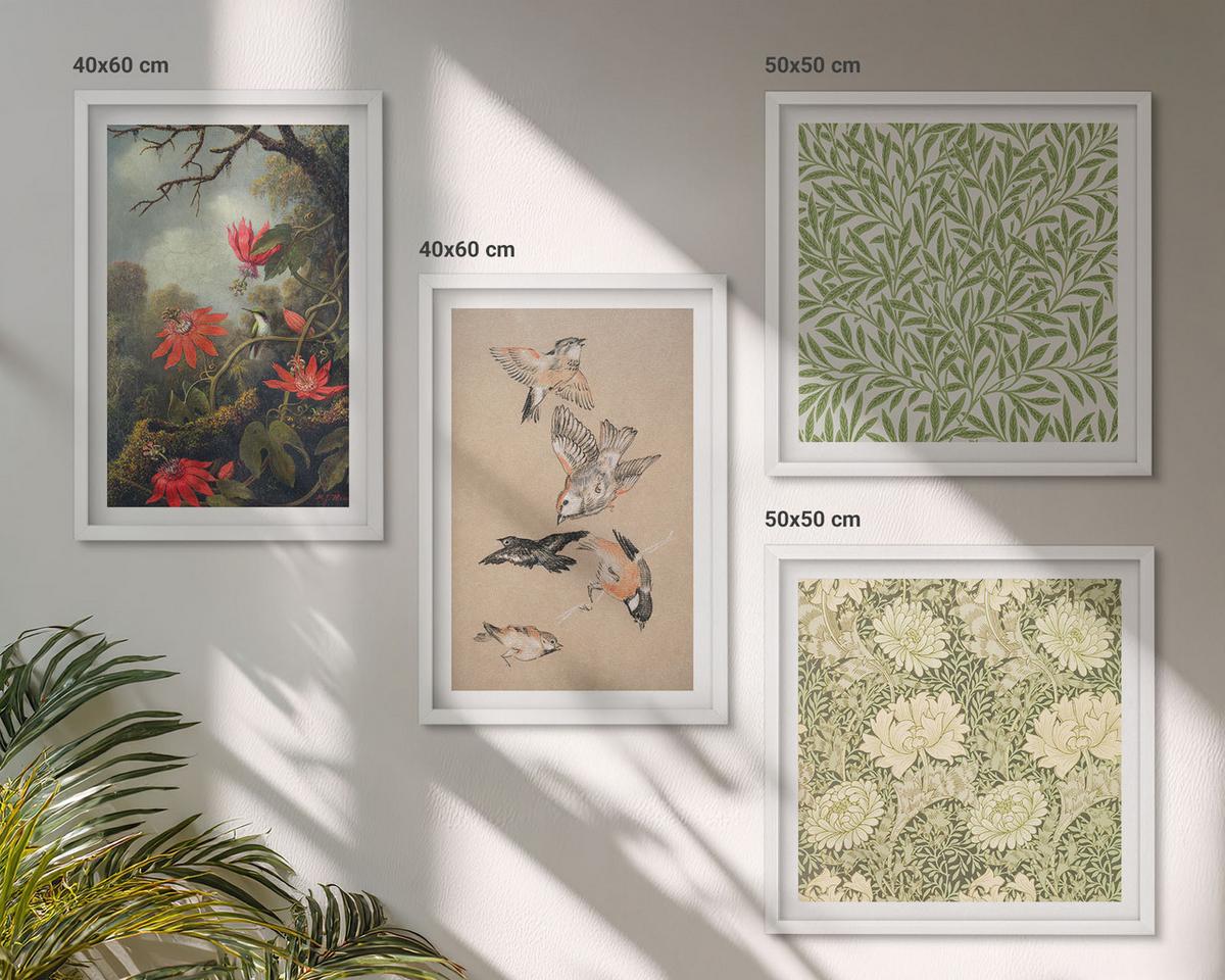 BILDER SET 4er Set - 50x50 cm & 40x60 cm Weißer Rahmen - Blumen und Vögel in natürlicher Umgebung - Weiß, Kunststoff (50/50cm) - TULUP