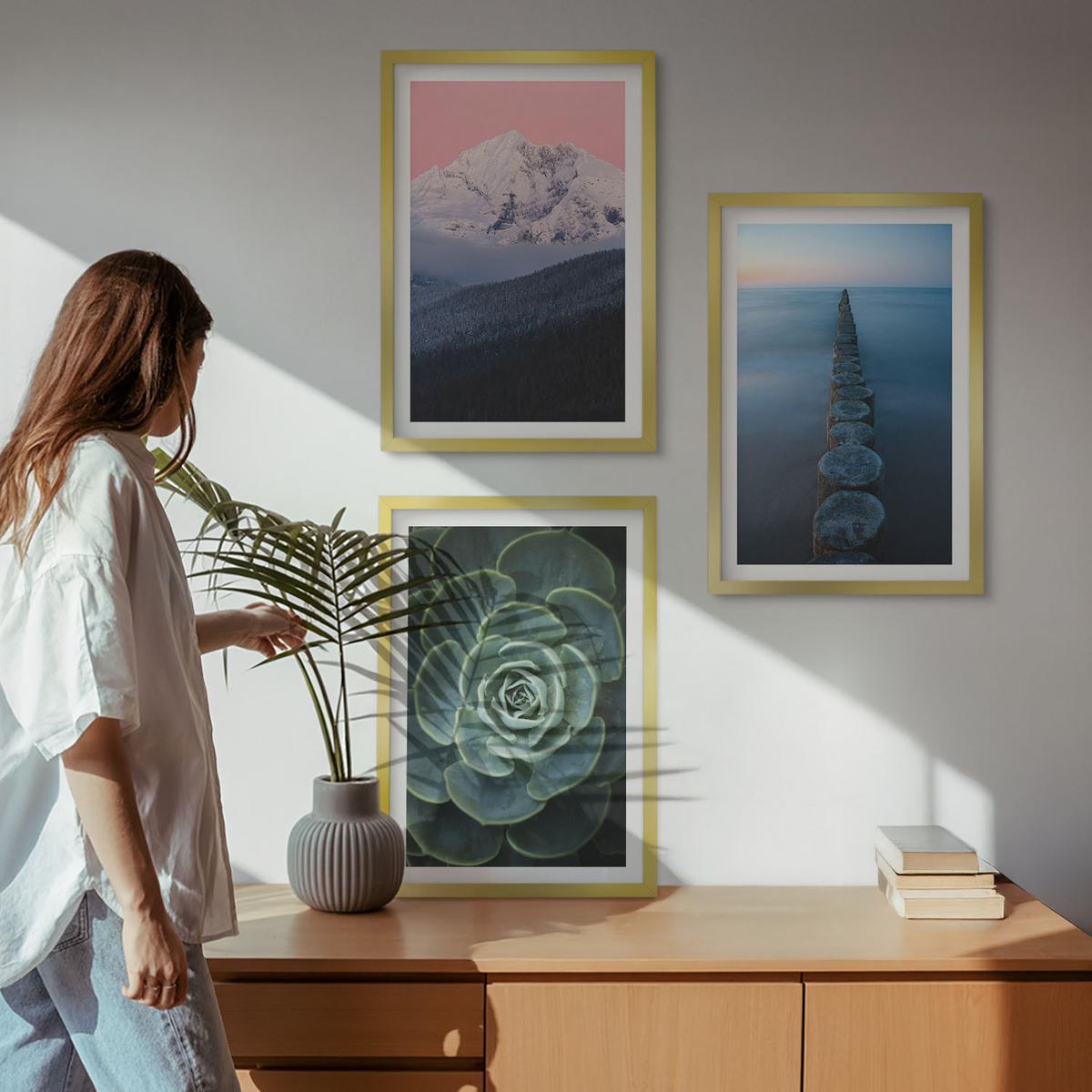 BILDER SET 3er Set - 40x60 cm Goldrahmen - Berge, rosa Himmel, Wasser, Sukkulente - Goldfarben, Kunststoff (40/60cm) - TULUP