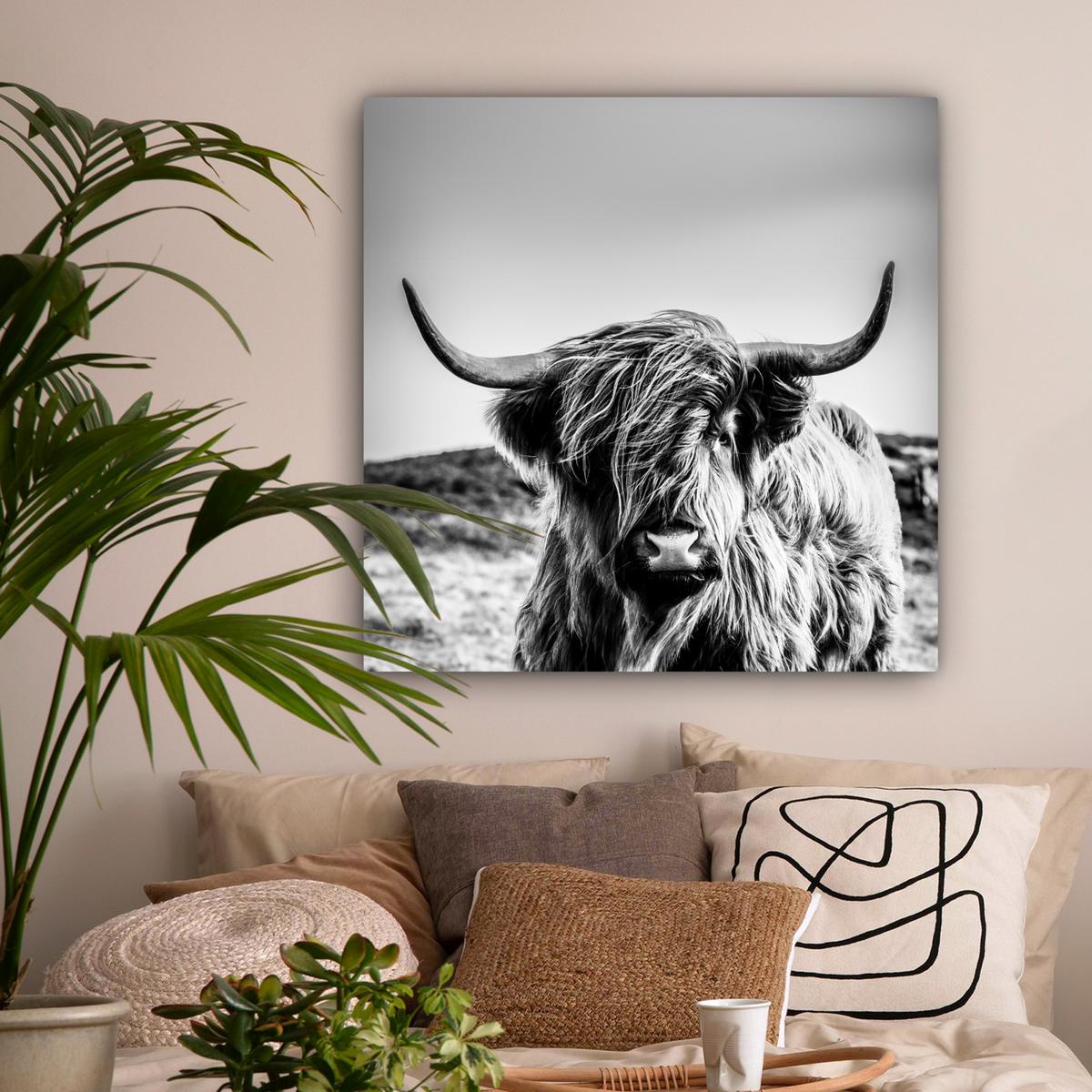 LEINWANDBILD Kuh - Schottischer Hochländer - Schwarz - Weiß - Tier - Natur - Wildtiere Deko Groß 90x90 cm - Schwarz, Textil (90/90cm) - MuchoWow