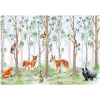 FOTOTAPETE Kinderzimmer Wald Vliestapete Tapete 400x280 - Multicolor, Papier (400/280cm) - Wallarena