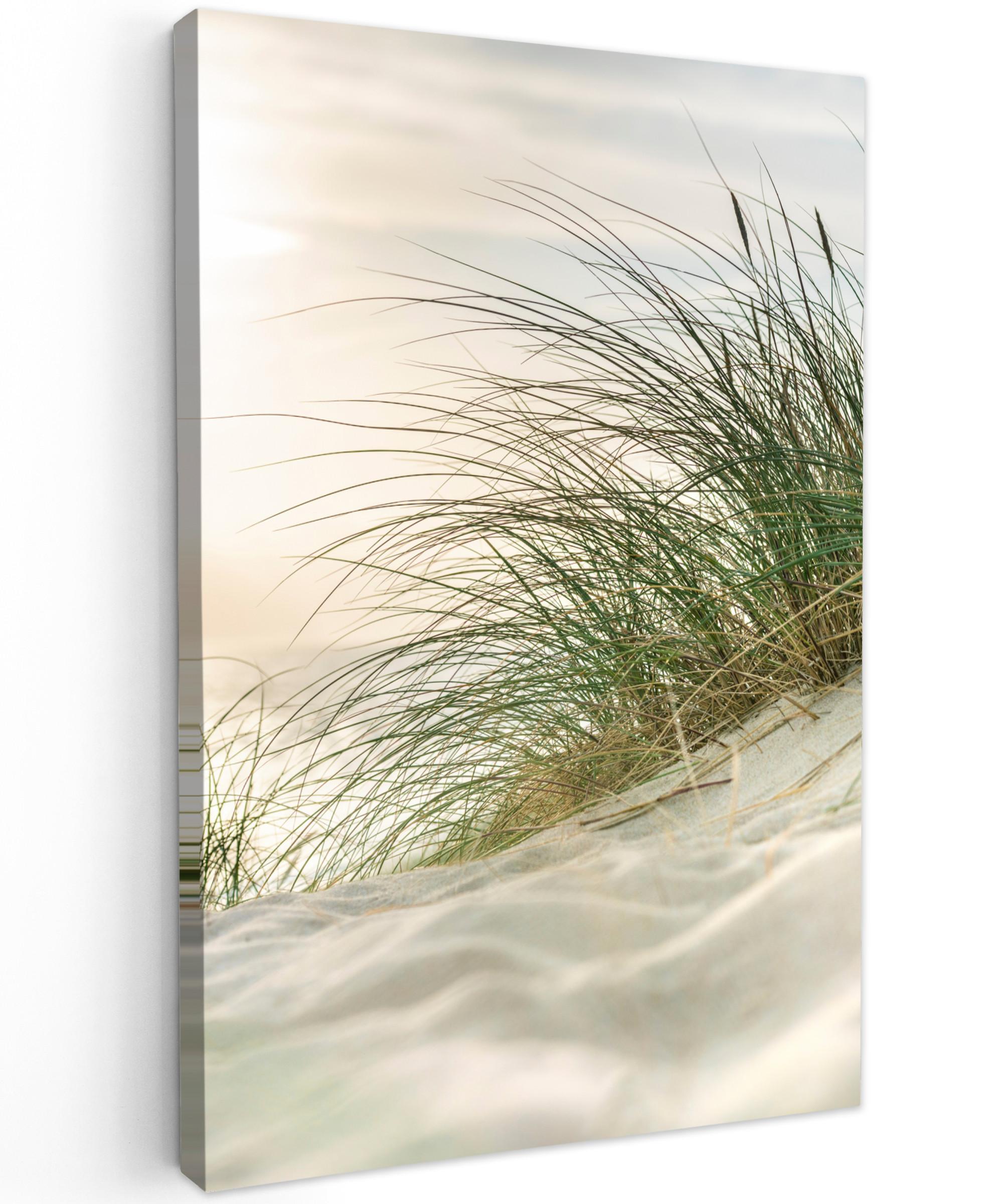 LEINWANDBILD Dünen mit Strandhafer in der Sonne des Nationalparks Schleswig-Holsteinisches Wattenmeer Deko XXL 80x120 cm - Creme, Textil (80/120cm) - MuchoWow