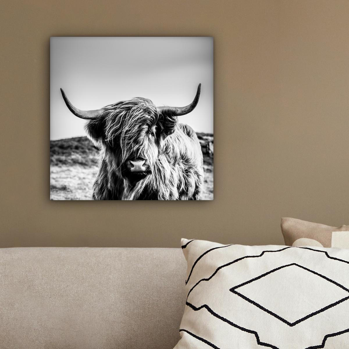LEINWANDBILD Kuh - Schottischer Hochländer - Schwarz - Weiß - Tier - Natur - Wildtiere Deko Wohnzimmer 20x20 cm - Schwarz, Textil (20/20cm) - MuchoWow