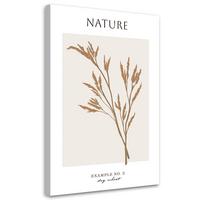 WANDBILD trockener weizen natur - Beige, Textil (40/60cm) - Feeby