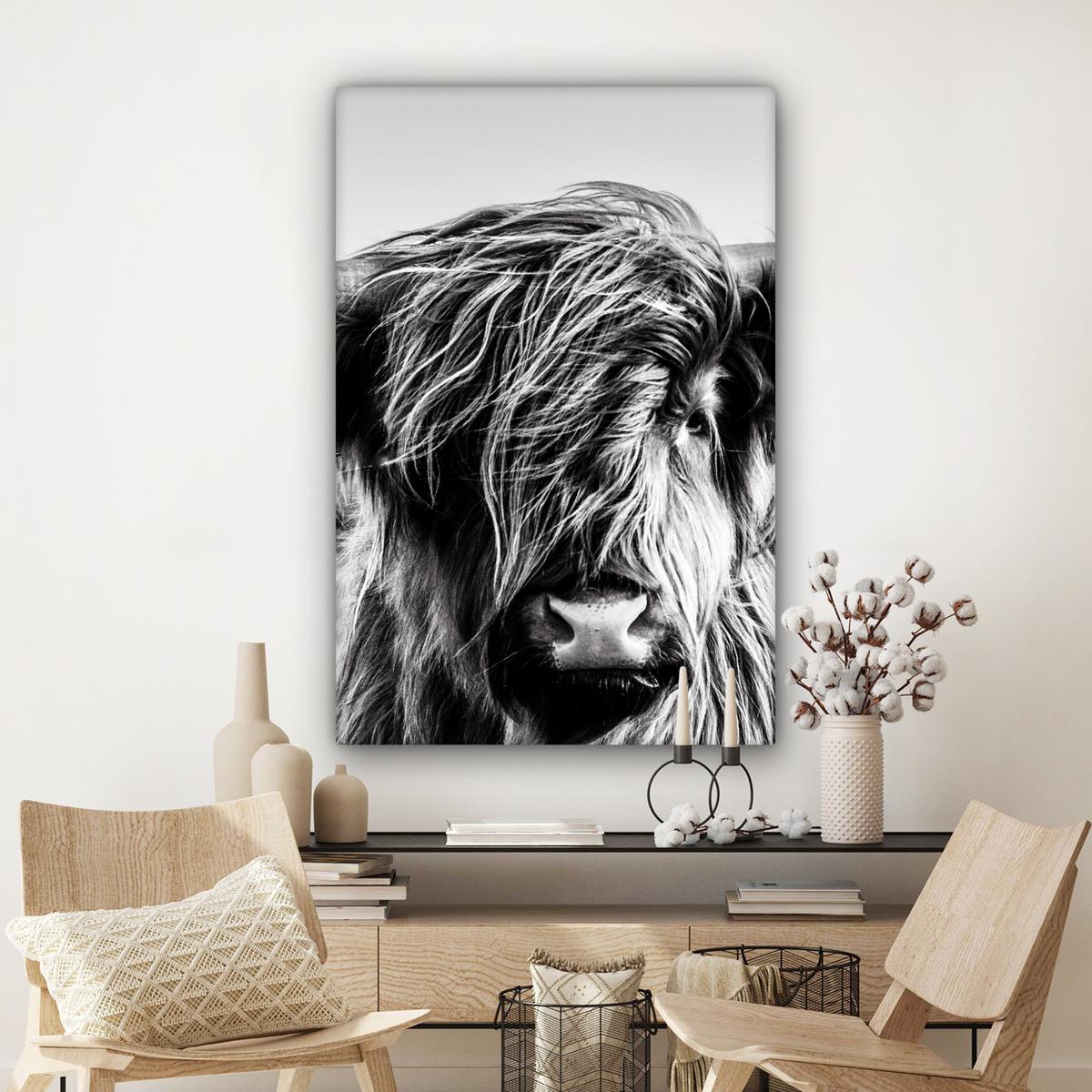 LEINWANDBILD Kuh - Schottischer Hochländer - Schwarz - Weiß - Tier - Natur - Wildtiere Deko XXL 80x120 cm - Schwarz, Textil (80/120cm) - MuchoWow